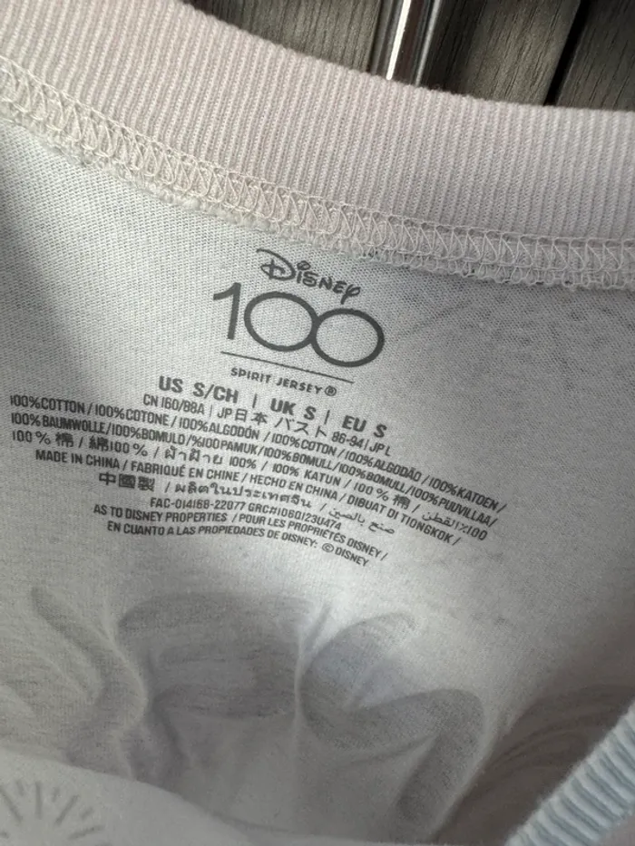 Spirit jersey Disney 100 - photo numéro 3