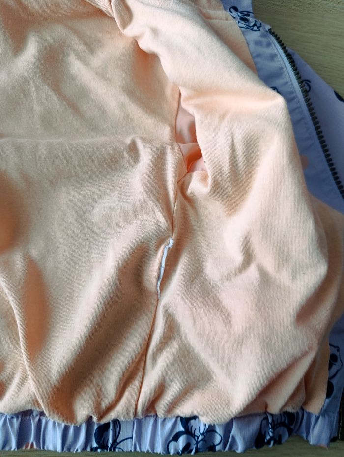 Veste Minnie , 3 ans - photo numéro 5