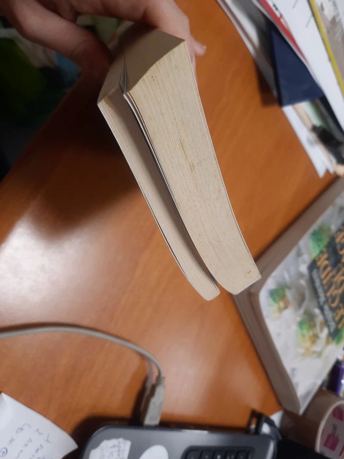 L'esclave Marie l'archer et sauvage blanc - photo numéro 7