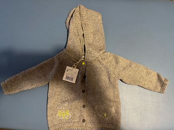 Pull à capuche 9 mois neuf - Du pareil au même