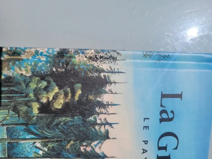 Livre couverture rigide, grand format, l'école des loisirs, La Grande Forêt, le pays des Chintiens - photo numéro 12