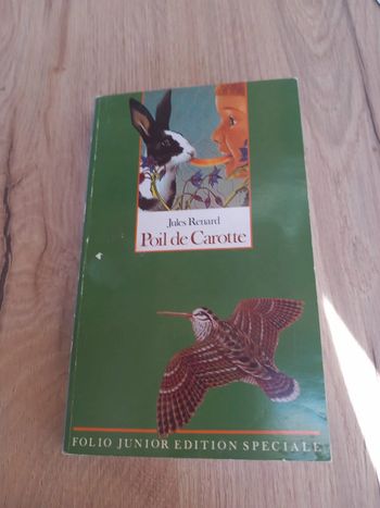 Roman Enfants Jules Renard - Poil de Carotte