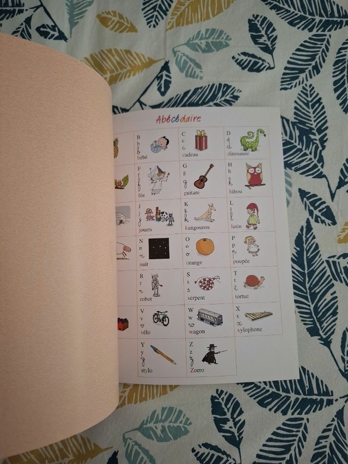 Mon gros cahier pour apprendre à lire et à écrire - photo numéro 4