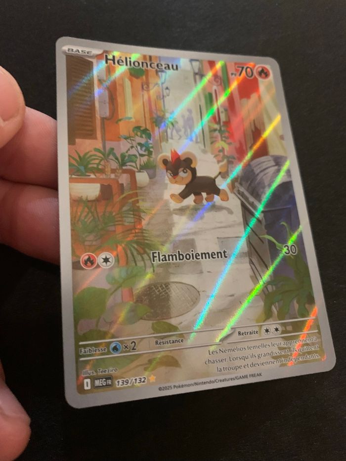 Hélionceau 139/132 Me1 - photo numéro 3