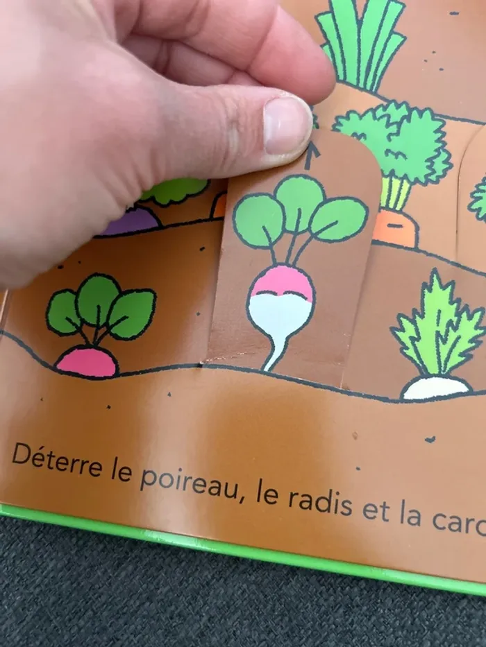 Livre t’choupi jardine comme un grand - photo numéro 4