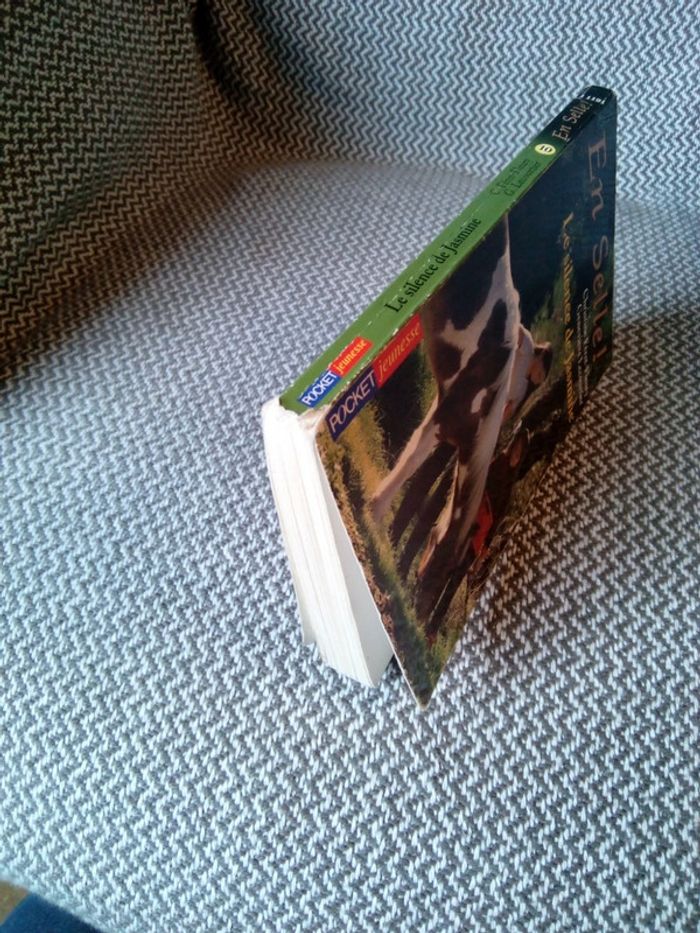 Le Silence de Jasmine/ En selle ! T.10 - Pocket Jeunesse - photo numéro 8