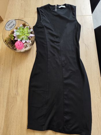 Petit robe noire