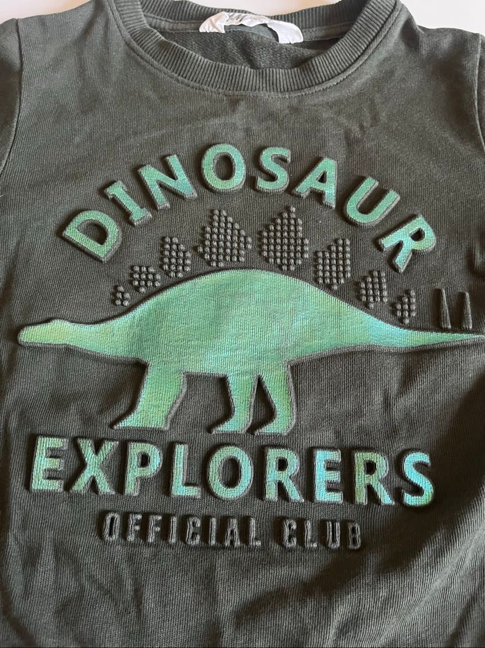 Sweat dinosaure - photo numéro 2