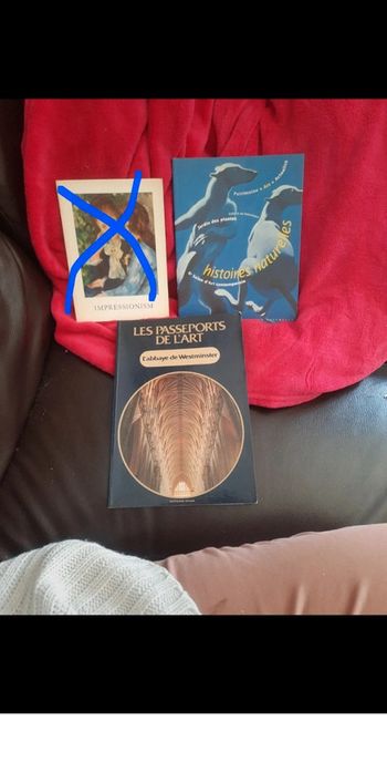 Lot de 2 livres historique peinture photo p o