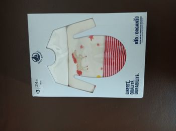 lot de trois bodies manches longues licorne petit bateau 24 mois