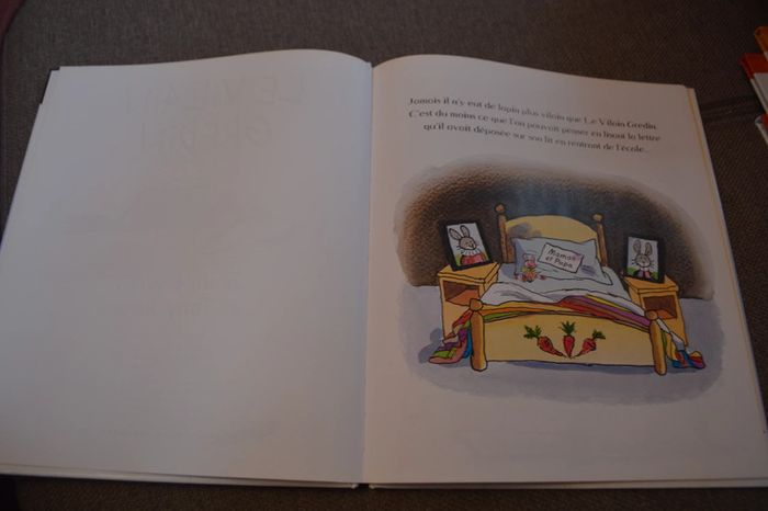 Livre le vilain gredin Gallimard jeunesse - photo numéro 2