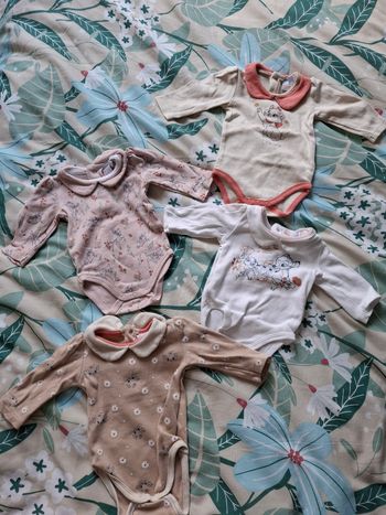 Lot de 4 bodys 