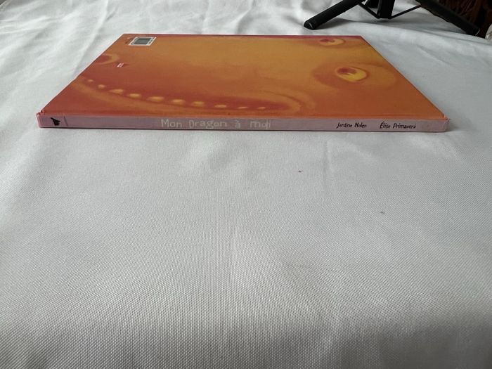 Livre mon dragon à moi - photo numéro 7