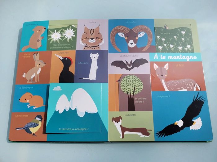 Grand livre à flaps 🦍 Mon Bel Imagier 🦜 Les animaux 🐆 73 - photo numéro 7