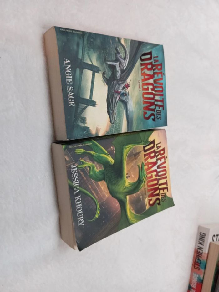 La révolte des dragons