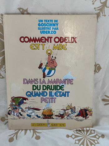 Livre Comment est tombé dans la marmite du druide quand il était petit