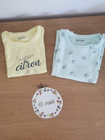 Lot de 2 t-shirt manches courtes bébé en excellent etat 18mois verbaudet