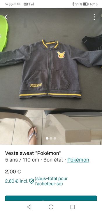Veste pokemon