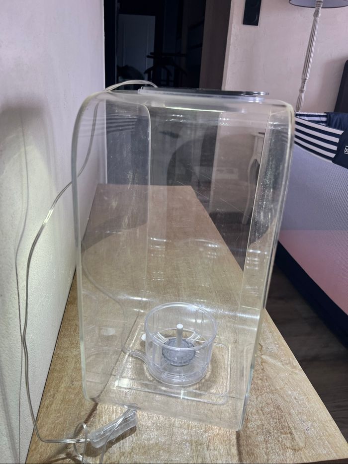 Aquarium Biorb - photo numéro 7