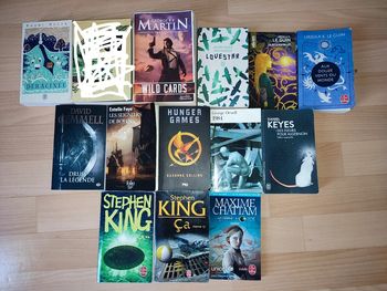 Lot ou unité livres fantasy/sf/horreur