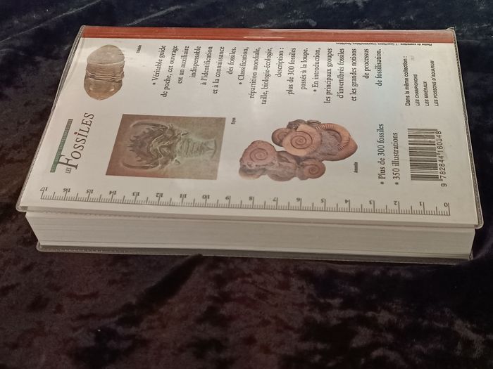Les fossiles guide encyclopédique - photo numéro 5