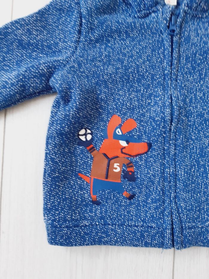 Sweat à capuche DPAM 6M - photo numéro 2