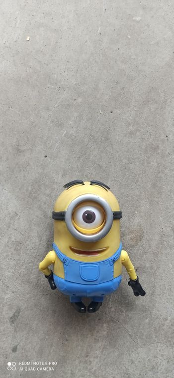 Minion