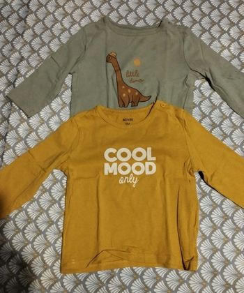 2 tee-shirts manches longues