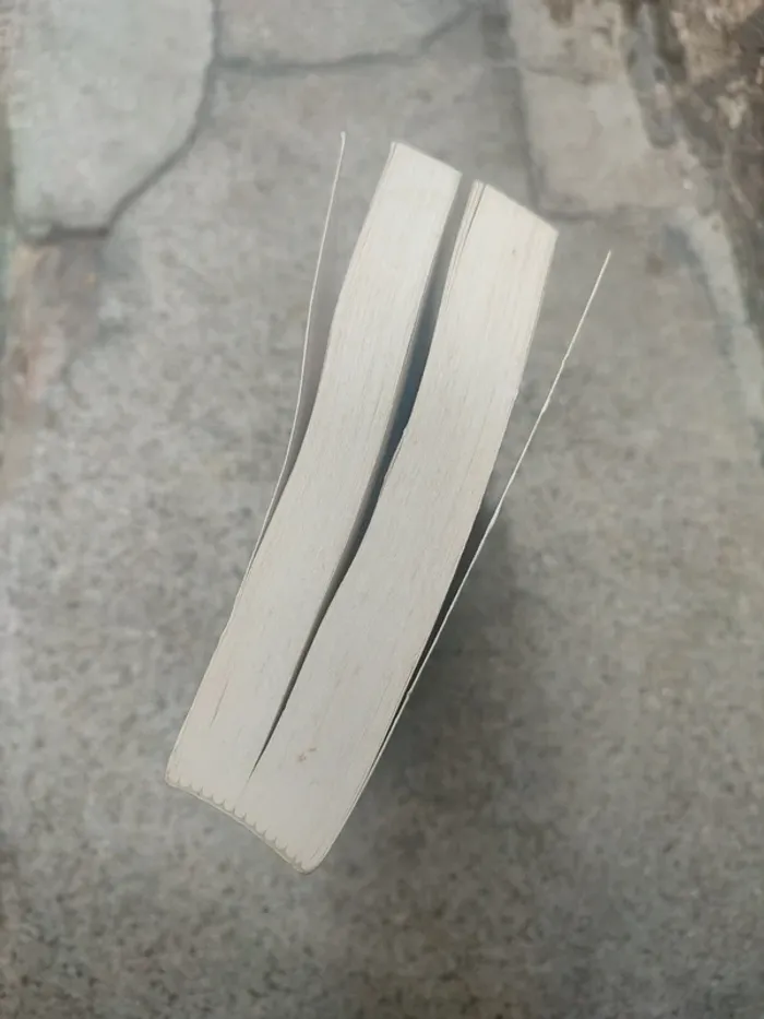 Livre réparez, nettoyez et rénovez - photo numéro 2