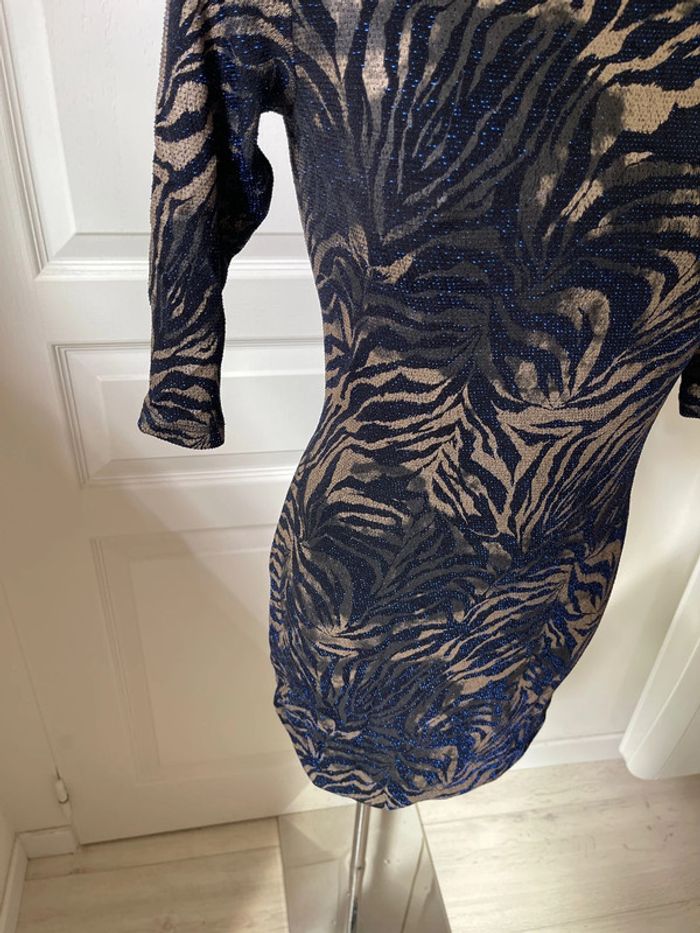Robe zébrée - photo numéro 4