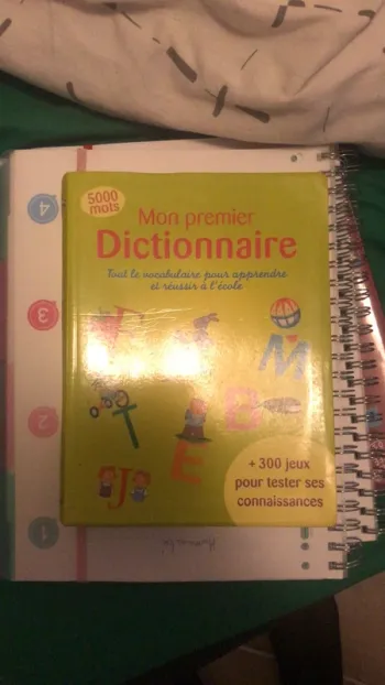 Dictionnaire