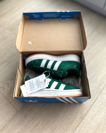 Basket adidas campus verte 