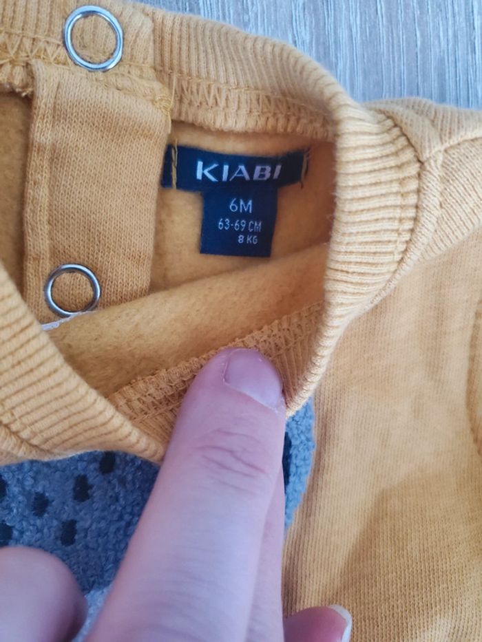 Pull raton laveur - photo numéro 2