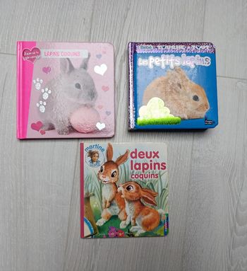 Lot 3 livres lapins