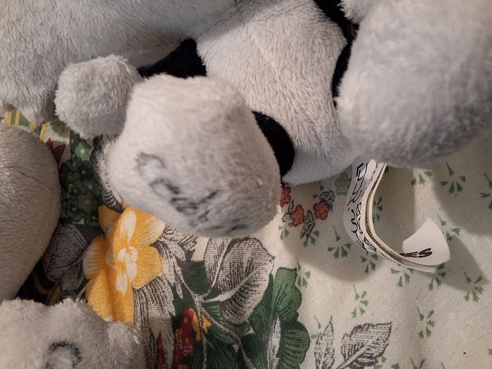 Peluche - photo numéro 5