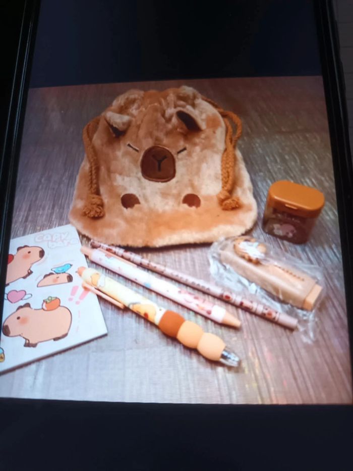 Ballotin Capybara et ses accessoires