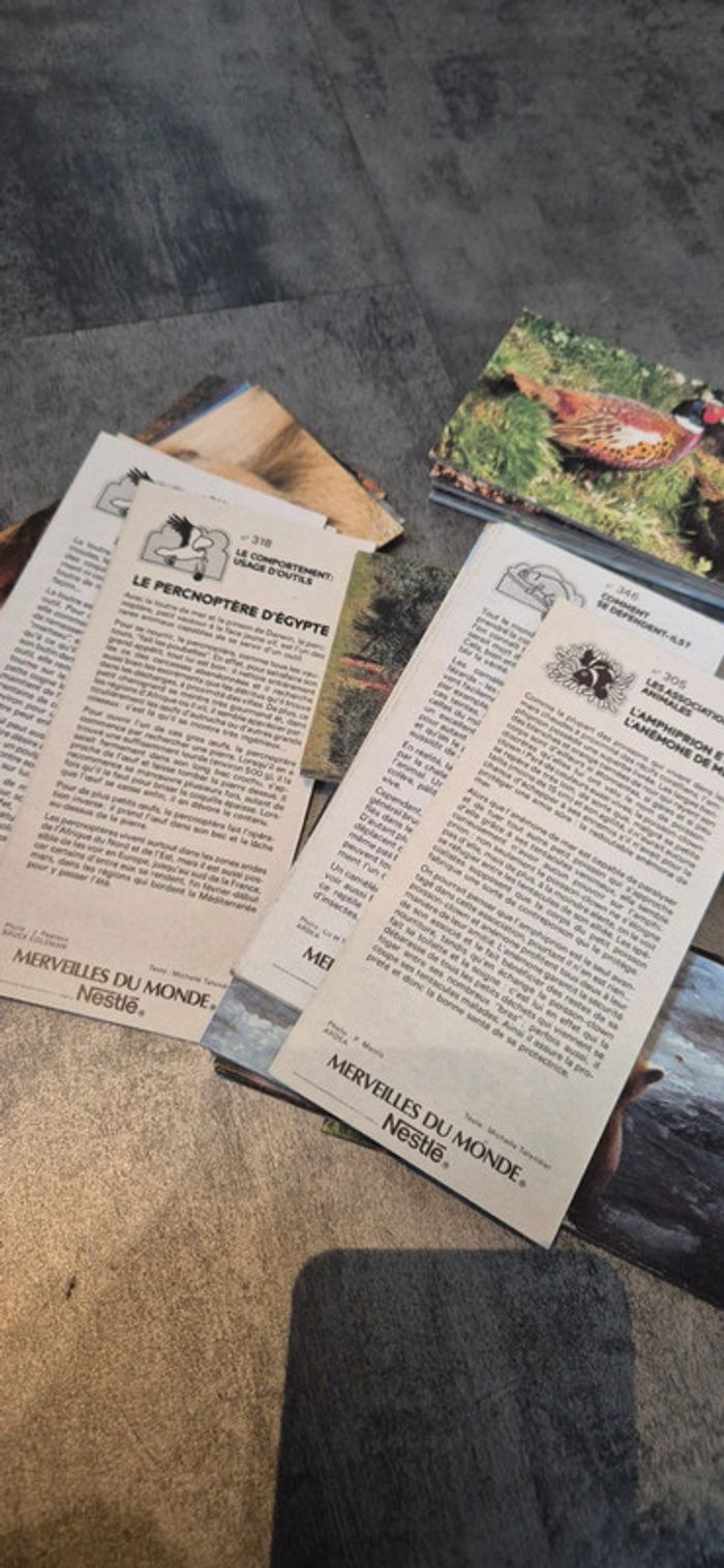 Lot de cartes Merveilles du Monde - photo numéro 2