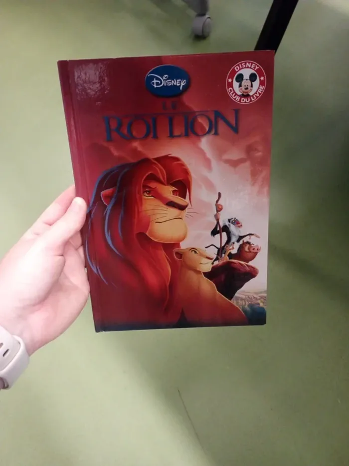 Lot de 4 petits livres Disney - photo numéro 6