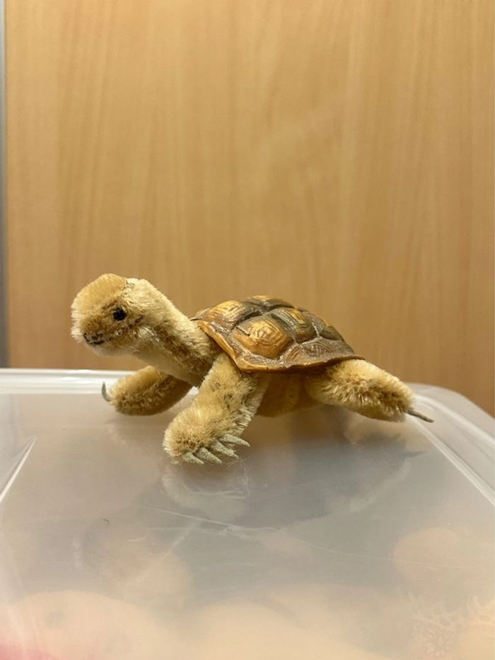 Tortue Steiff