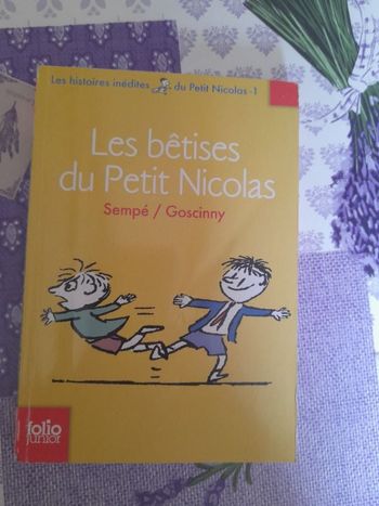 Livre "Les bêtises du Petit Nicolas", tome 1, Sempé et Goscinny, édition Folio junior