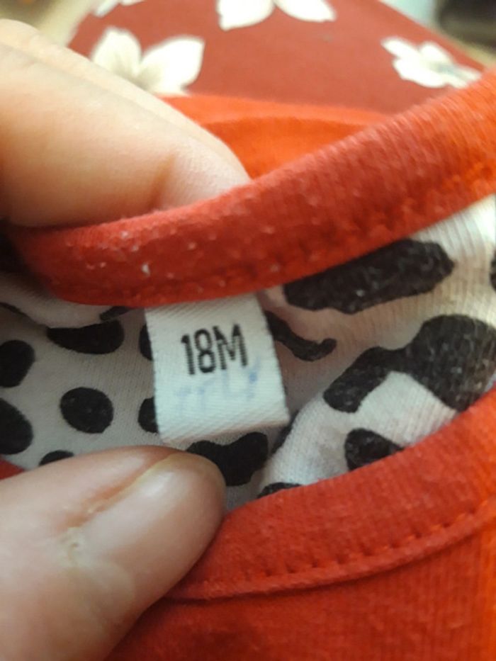 Ensemble dalmatiens - photo numéro 5