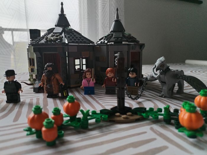 Lego Harry Potter La cabane d'Hagrid 75947 - photo numéro 4
