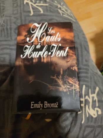 Les hauts de Hurlevent Emily Bronte
