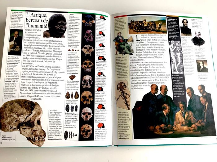 Grand album junior : du big-bang aux premières civilisations - photo numéro 3