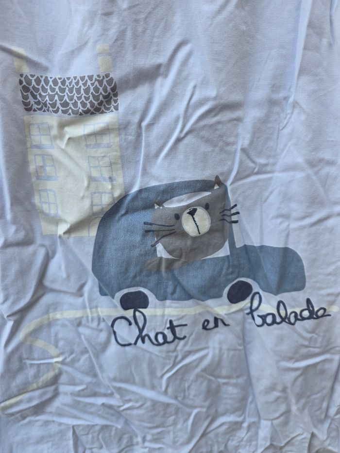 Gigoteuse chaude chat en balade - photo numéro 2