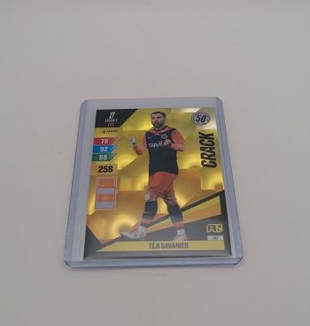 Carte Panini Adrenalyn xl 2024-25.