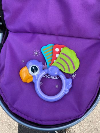 Hochet perroquet 🦜 de dentition