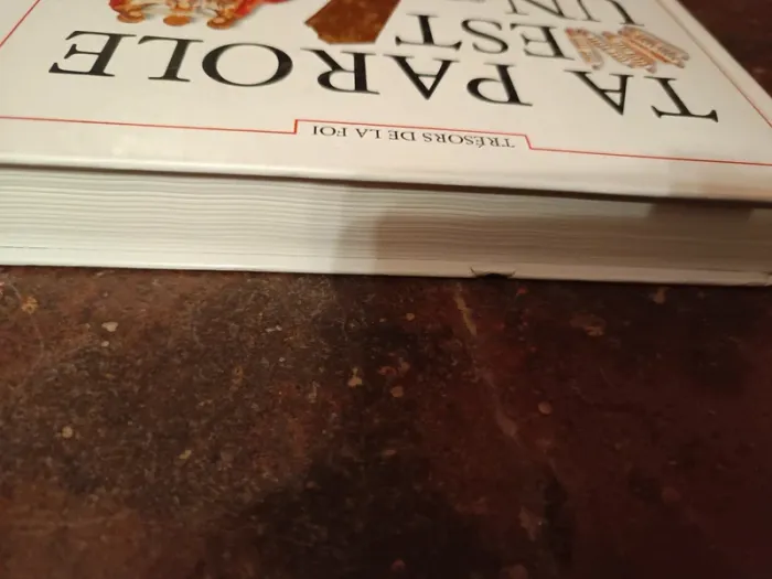 Livre ta parole est un trésor - photo numéro 5