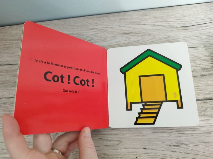 Livre à Rabat les couleurs et les animaux - photo numéro 4