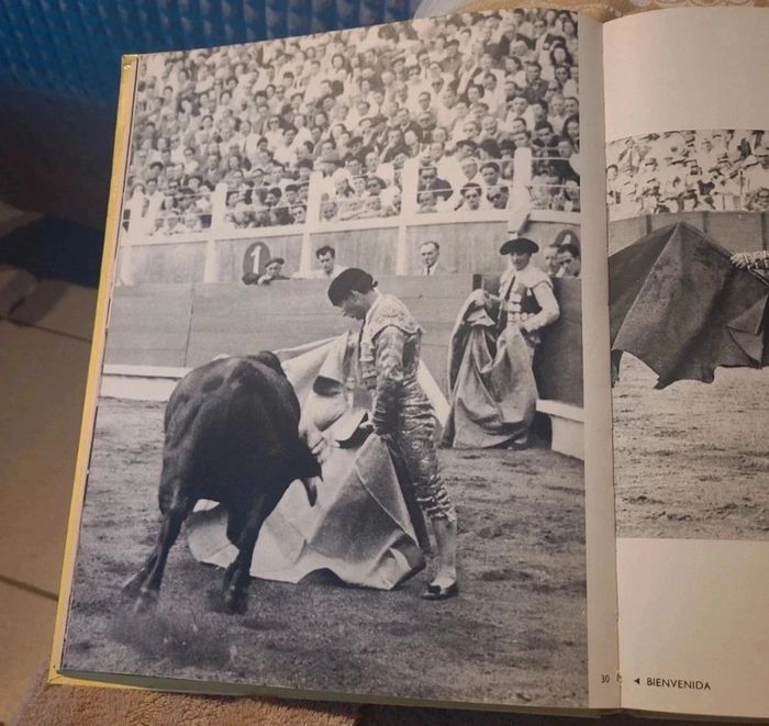Toreros dans l'arène - photo numéro 5